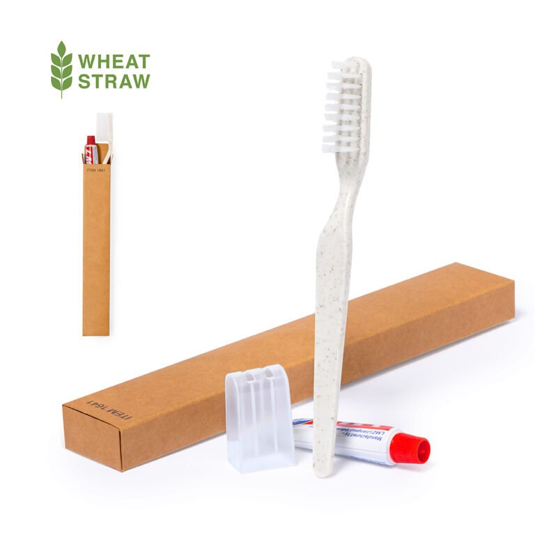 Dental Kit